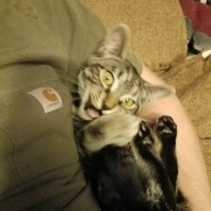 Meet your Posher, Kate